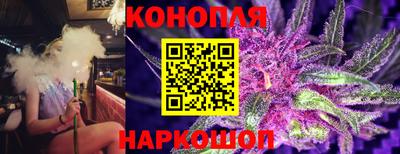 apvp Новодвинск