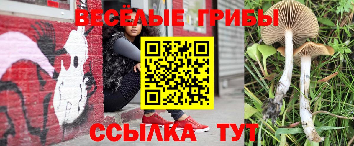 Псилоцибиновые грибы Magic Shrooms  Вход с VPN  Тимашёвск  Псилоцибиновые грибы Psilocybe 