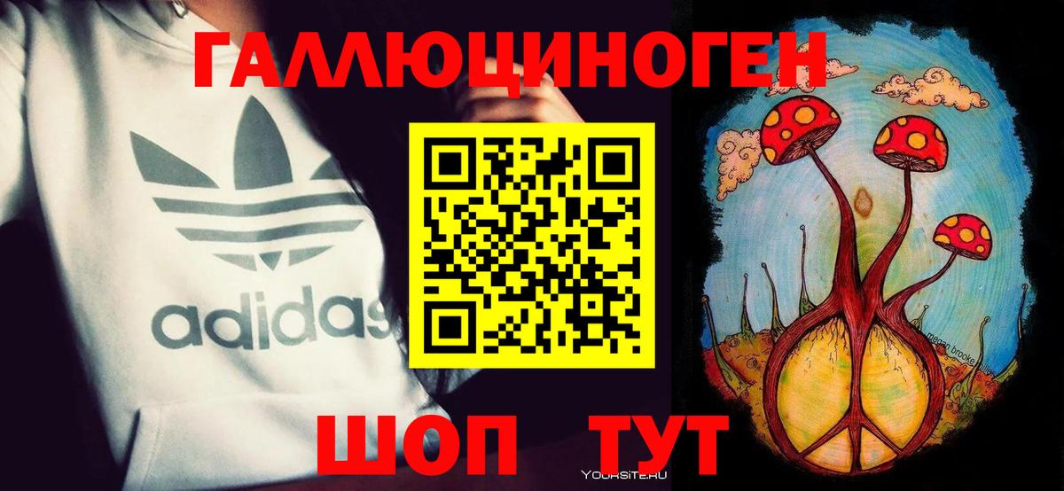 Псилоцибиновые грибы Cubensis Тимашёвск